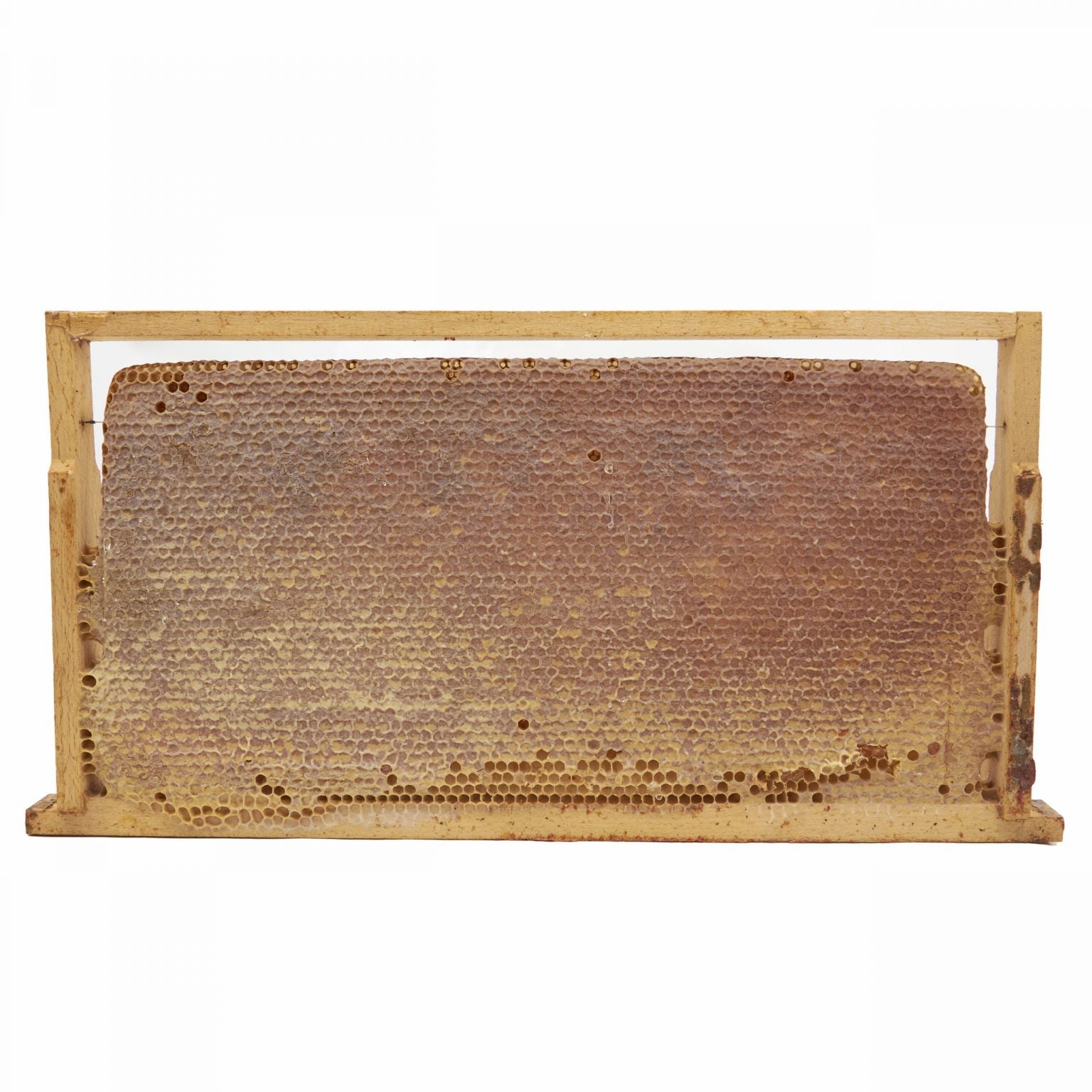 Hakkari Organik Petek Balı