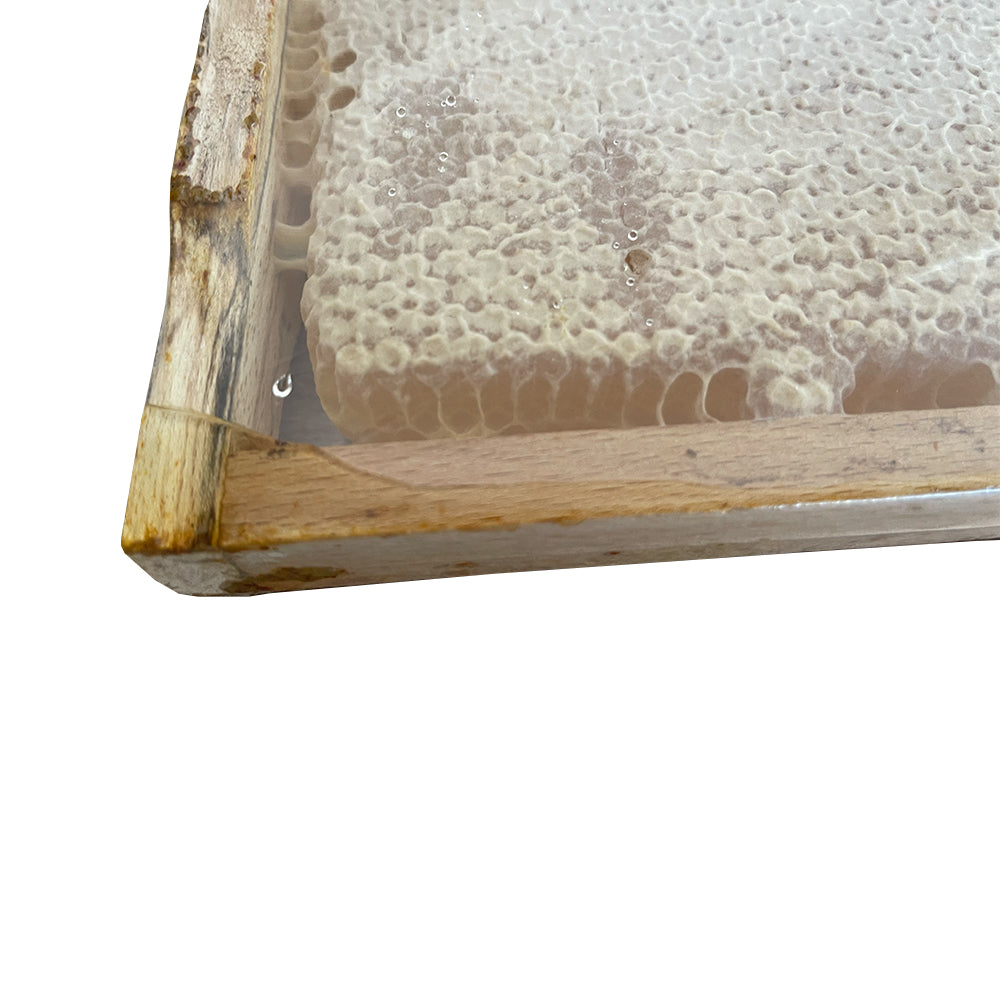 Sivas Petekli Çıta Balı