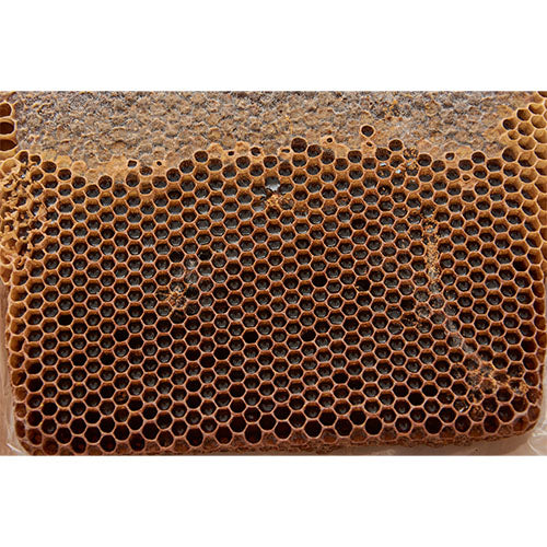 Kaz Dağları Siyah İnci Petek Balı