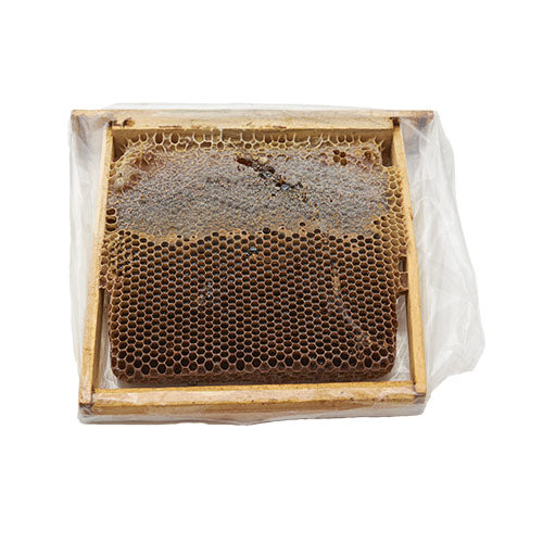 Kaz Dağları Siyah İnci Petek Balı