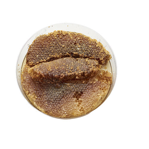 Yaban Balı ( Kaya Balı )